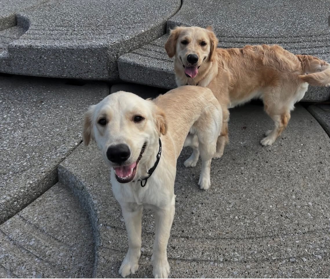 アクア&マリンの写真 - 株式会社スリーエイト