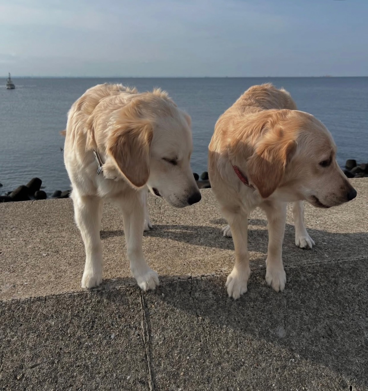 アクア&マリンの写真 - スリーエイト