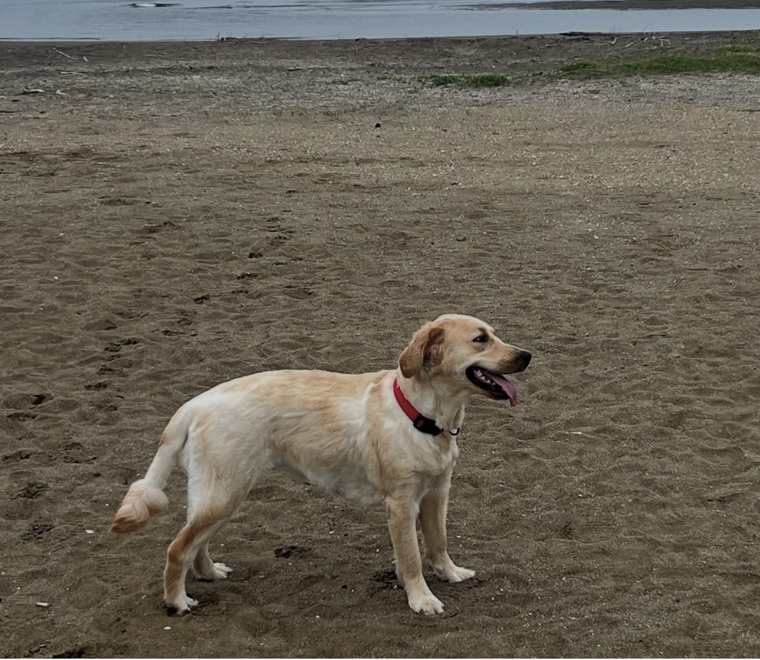 アクア&マリンの写真 - 株式会社スリーエイト