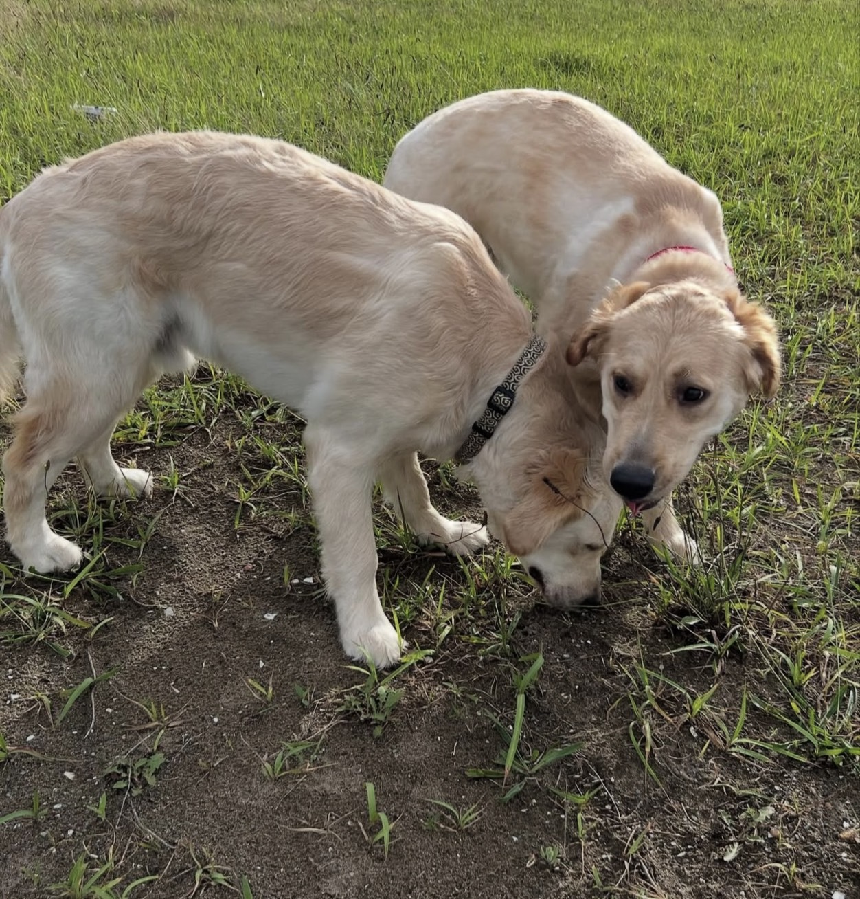 株式会社スリーエイト - 関東エリアの貴金属買取・販売専門会社